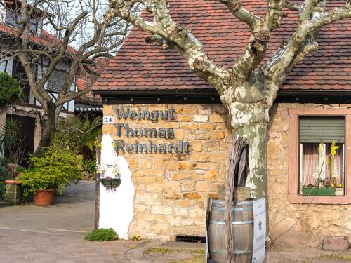 Das Weingut Thomas Reinhardt in Niederkirchen zeigt eine einladende Fassade mit einem großen Baum.  | © Name