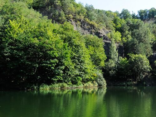 Grünes Ufer und klare Reflexionen im ruhigen Wasser eines Sees, umgeben von üppigem Wald. | © Name