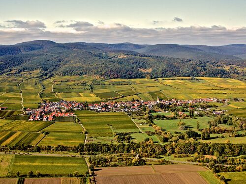 Luftaufnahme der malerischen Weinregion mit einem kleinen Dorf umgeben von üppigen Feldern und sanften Hügeln. | © Name