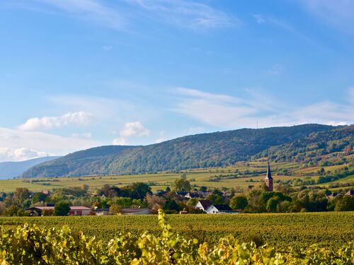 Weite Weinlandschaft mit sanften Hügeln, einem Dorf und der Kirche im Vordergrund. | © Forst_02