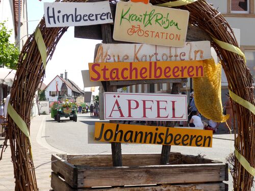 Ein dekoratives Schild mit regionalen Früchten wie Himbeeren, Äpfeln und Johannisbeeren in Niederkirchen.