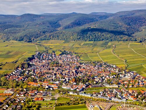 Luftaufnahme mit dem kleinen Ort Deidesheim, eingebettet in Weinberge und im Hintergrund bewaldete Pfälzerwaldberge