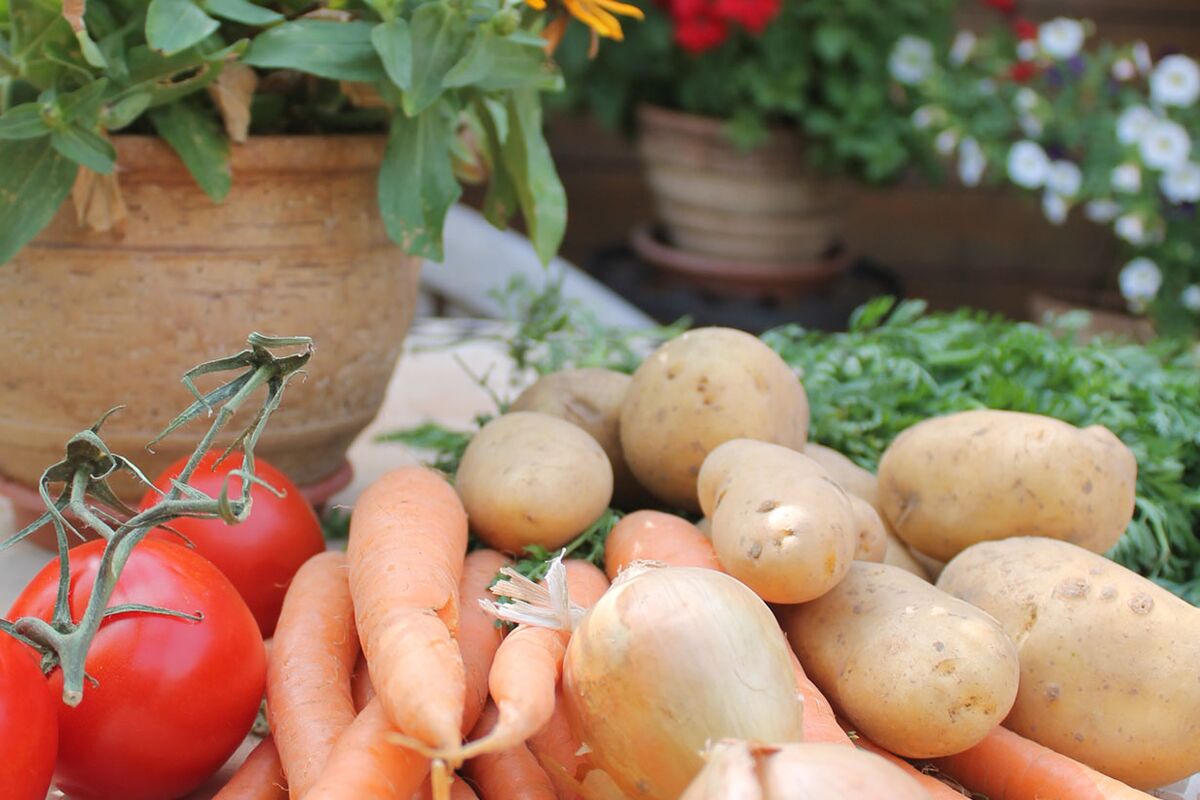 Tisch mit liebevoll arrangierten Tomaten, Karotten, Kartoffeln und Kräutern im Hintegrund Blumen