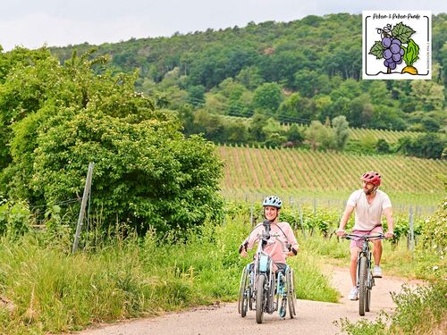 Ein Radfahrer und eine Handtrikefahrerin unterwegs in den Pfälzer Weinbergen, im Hintergrund der Pfälzerwald.