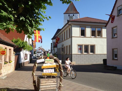 Eine Radfahrerin fährt durch die malerische Straße von Niederkirchen, umgeben von bunten Fahnen und Geschäften.