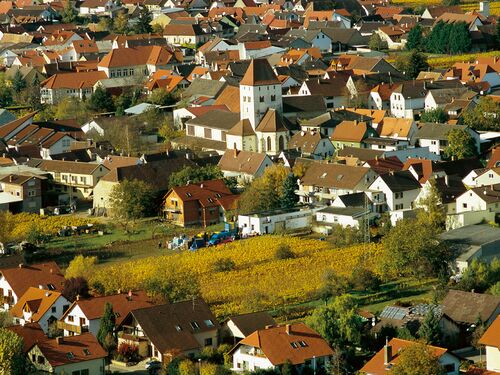 Luftansicht von Niederkirchen mit bunten Dächern und herbstlichen Weinbergen im Hintergrund | © Name