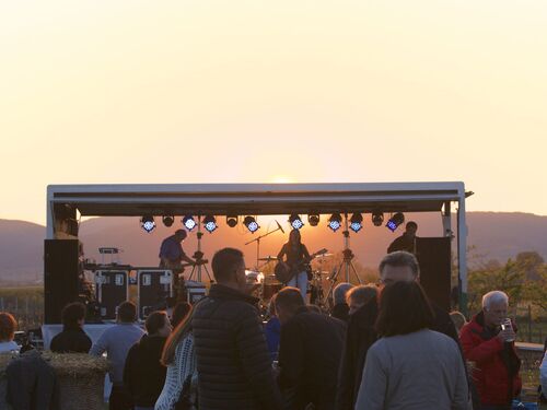 Menschen genießen ein Open-Air-Konzert bei Sonnenuntergang in Meckenheim, umgeben von Weinbergen.
