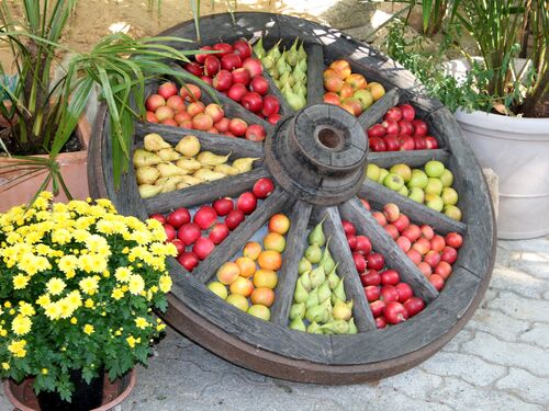 Ein rustikales Holzrad präsentiert bunte Äpfel, Birnen und gelbe Chrysanthemen in einer lebhaften Marktszene.