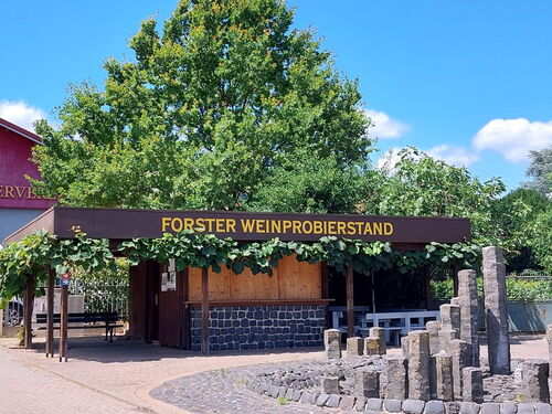 Der Forster Weinprobierstand steht unter einem Baum mit Weinreben und lädt zur Weinverkostung in Deidesheim ein.