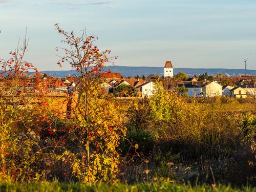Herbstliche Landschaft mit bunten Bäumen und dem Dorf Niederkirchen im Hintergrund unter blauem Himmel. | © Name