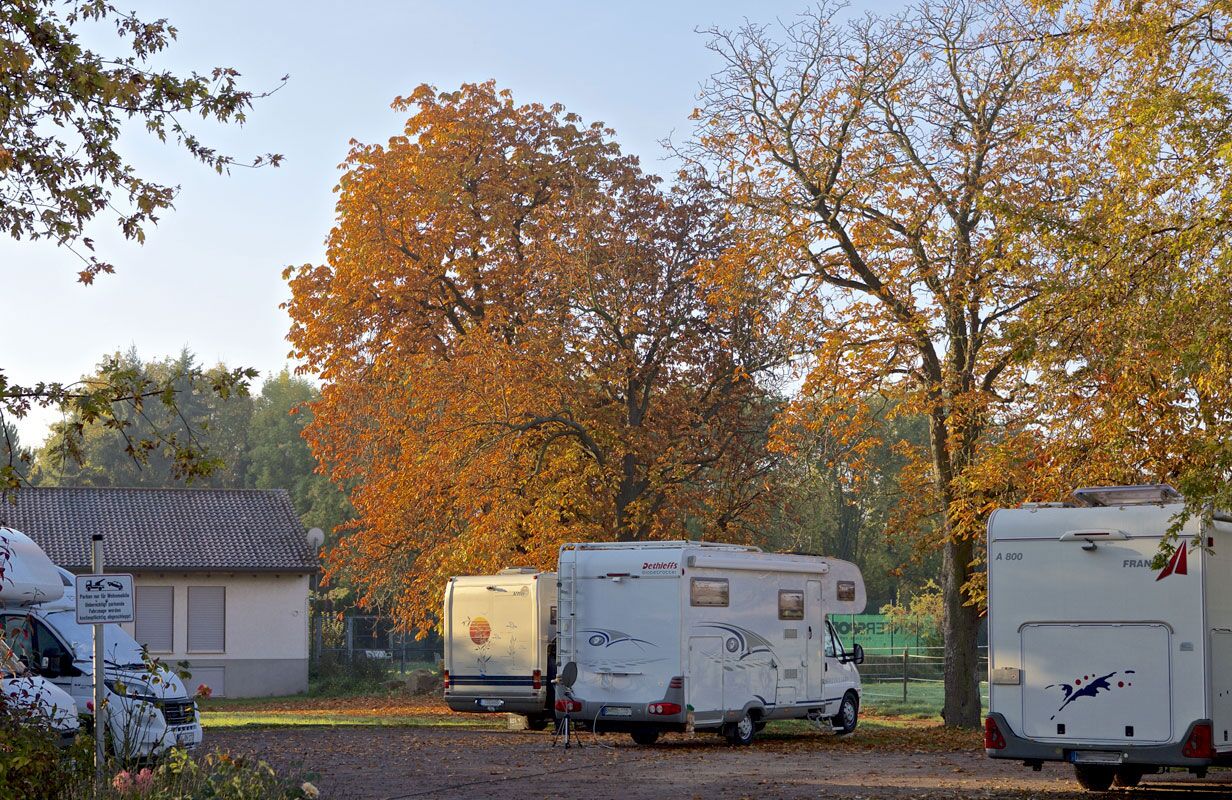 Unter bunten Laubbäumen stehen Reisemobile