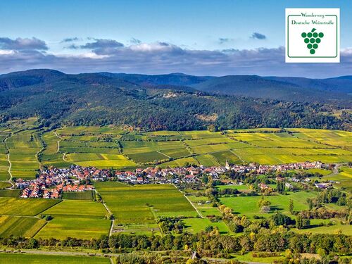 Ein Blick auf die Weinberge und das malerische Dorf entlang der Deutschen Weinstrasse. | © Deutsche Weinstrasse