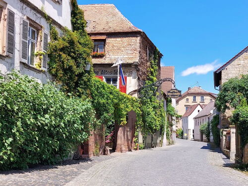 Gemütliche Gasse in Deidesheim mit historischen Häusern und üppigem Grün unter strahlend blauem Himmel.