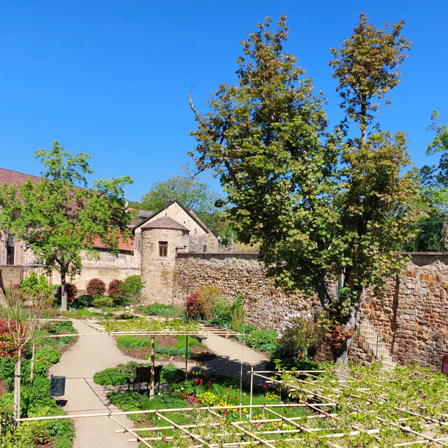Ein sonniger Garten in Deidesheim mit bunten Blumen und alten Mauern, ideal für entspannte Stunden.