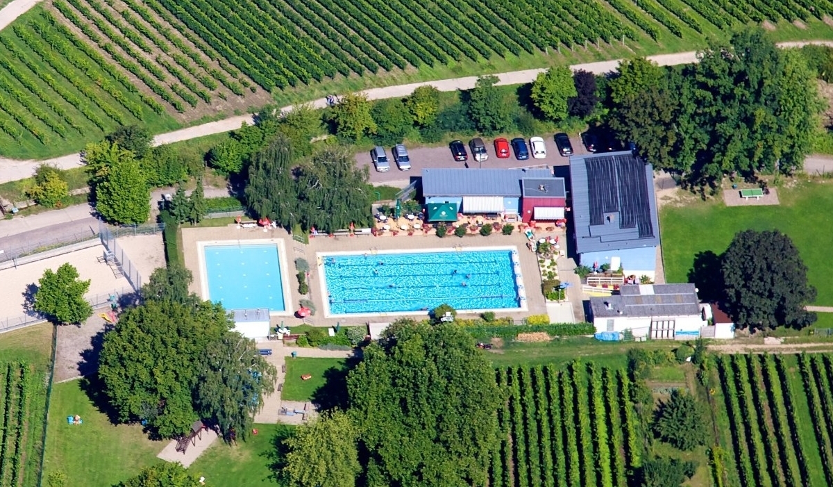 Luftaufnahme eines Schwimmbads mit zwei Becken, umgeben von Weinbergen und Grünflächen.